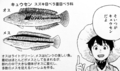 isoasobi02_kyuusen.jpg