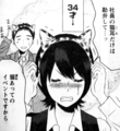 nekoi12_34.jpg