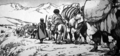 otoyome10_caravan.jpg