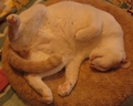 rai_201208.jpg